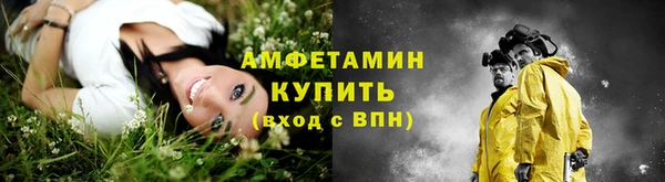 сатива Семилуки