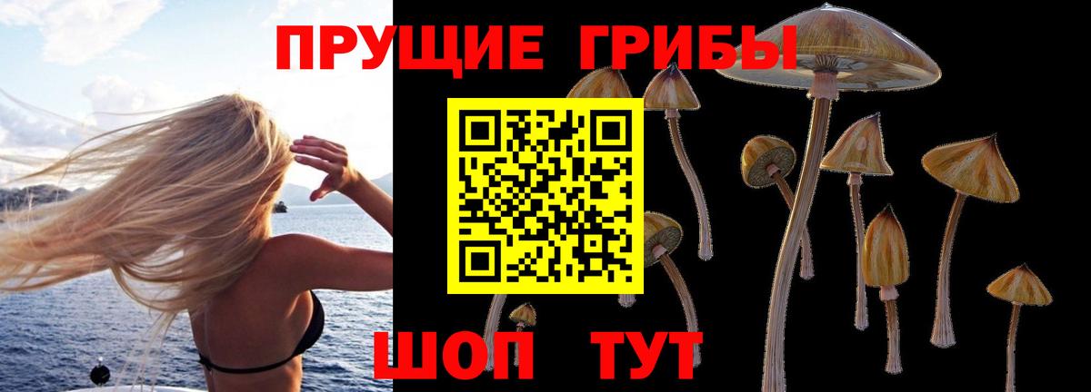 Галлюциногенные грибы прущие грибы Урюпинск